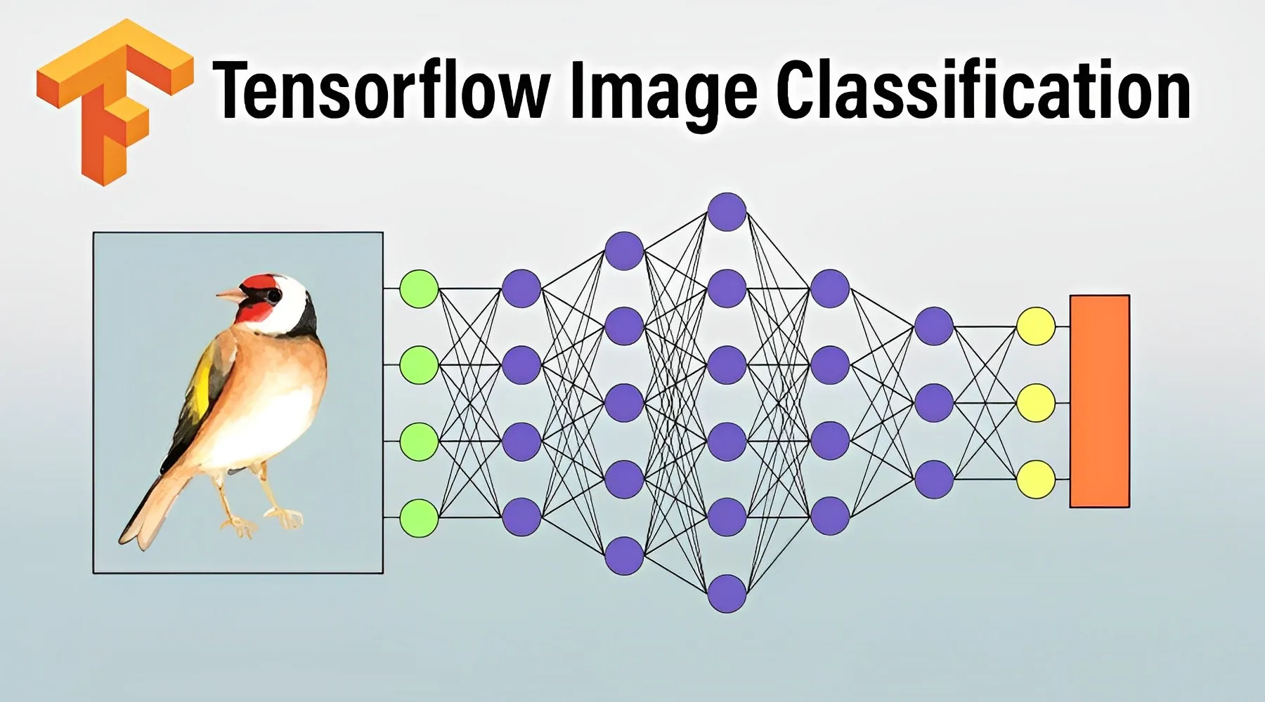 tensorflow-image-classification